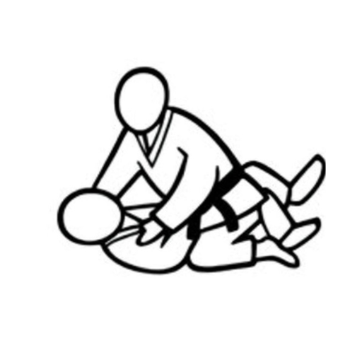 BJJ Icon